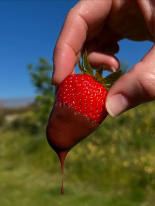 Jahody🍓 čokoláda🍫 a léto🌞 prostě patří k sobě🤎 U nás v Mlsárně na Památníku v Hrabyni najdete tohle všechno dohromady🖖 Tak...